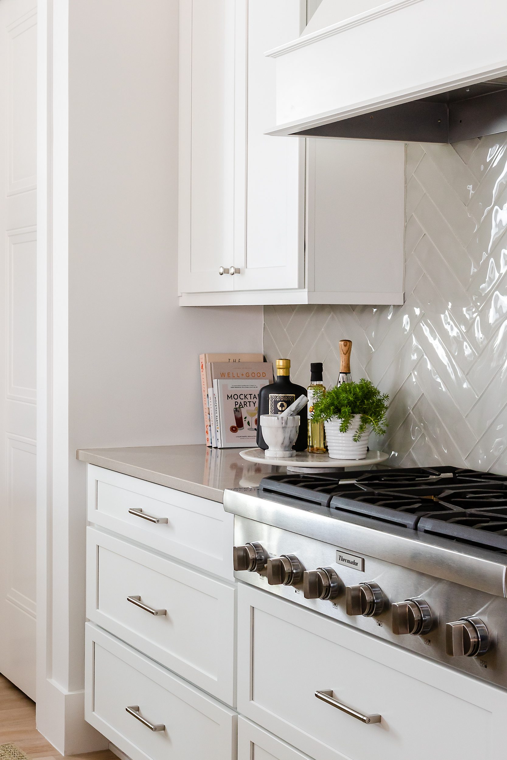 Modern kitchen corner with white cabinets, stainless steel stove, and decorative plants.